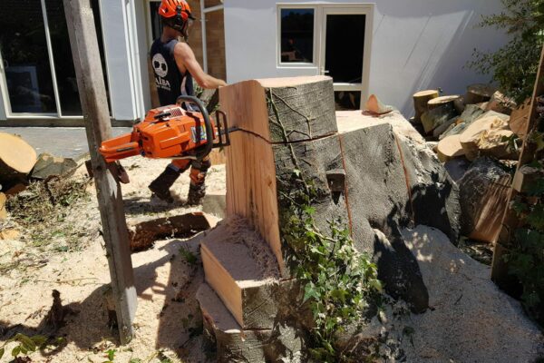 Keep your trees in top shape with our professional tree topping and pruning services in Christchurch