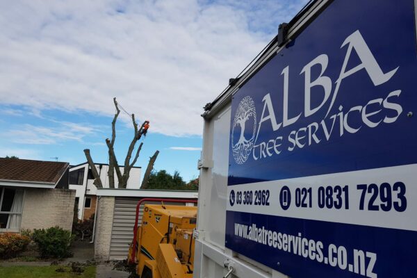 Alba Tree Services are experts in tree pruning and tree work across Christchurch